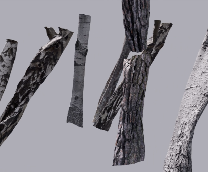 Still from Julie Zhu and Sanna Fogelvik's Canopy (2025)